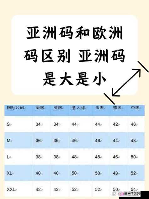 亚洲码欧洲码一二三四五：探究不同尺码的特点与应用范围